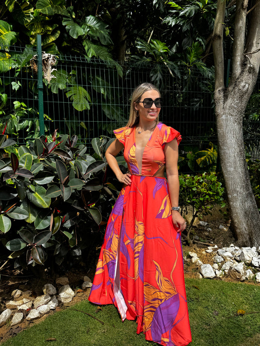 Dani Maxi